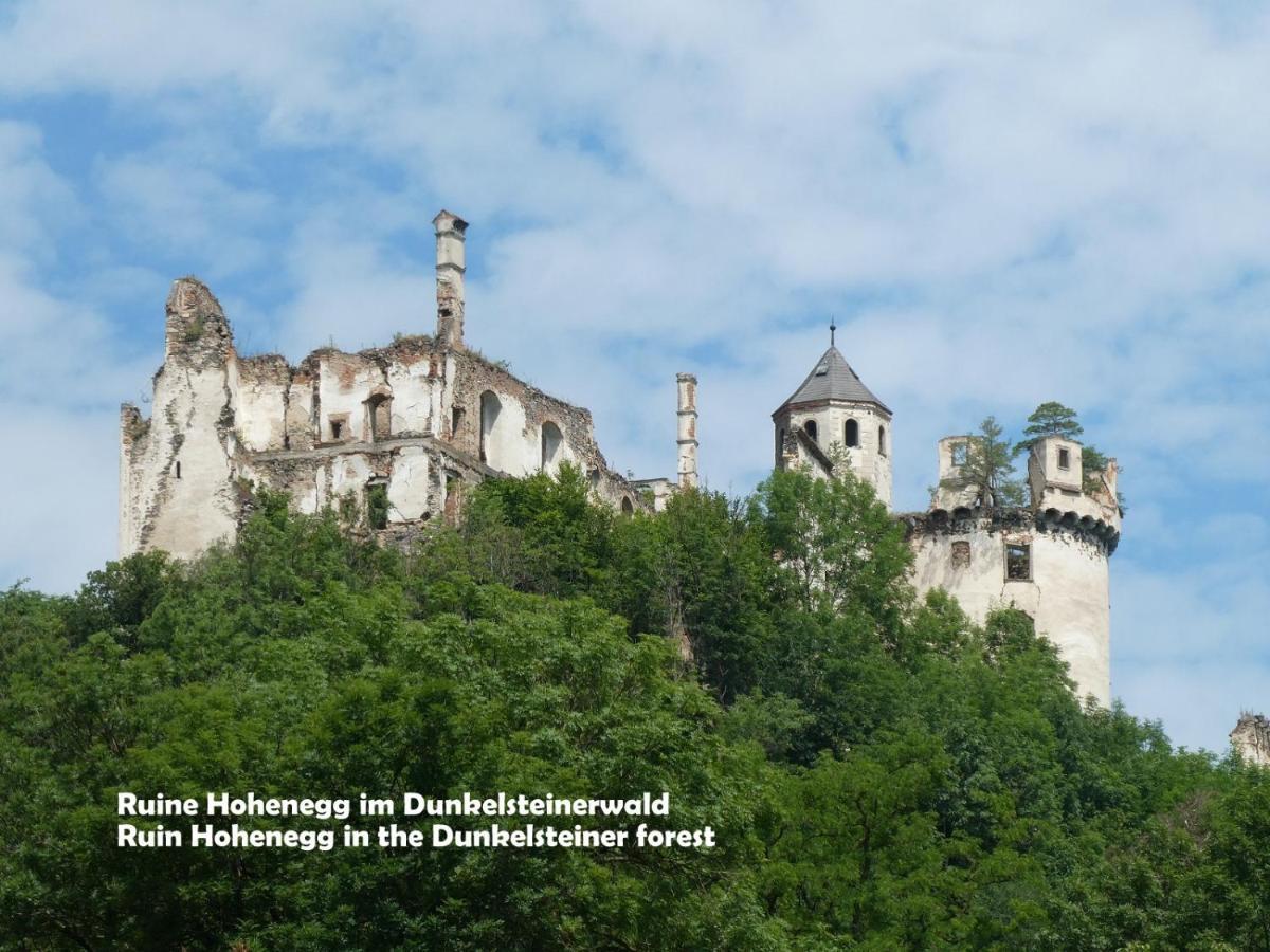 Gaestehaus Am Weinberg - Schlager Prinzersdorf Luaran gambar